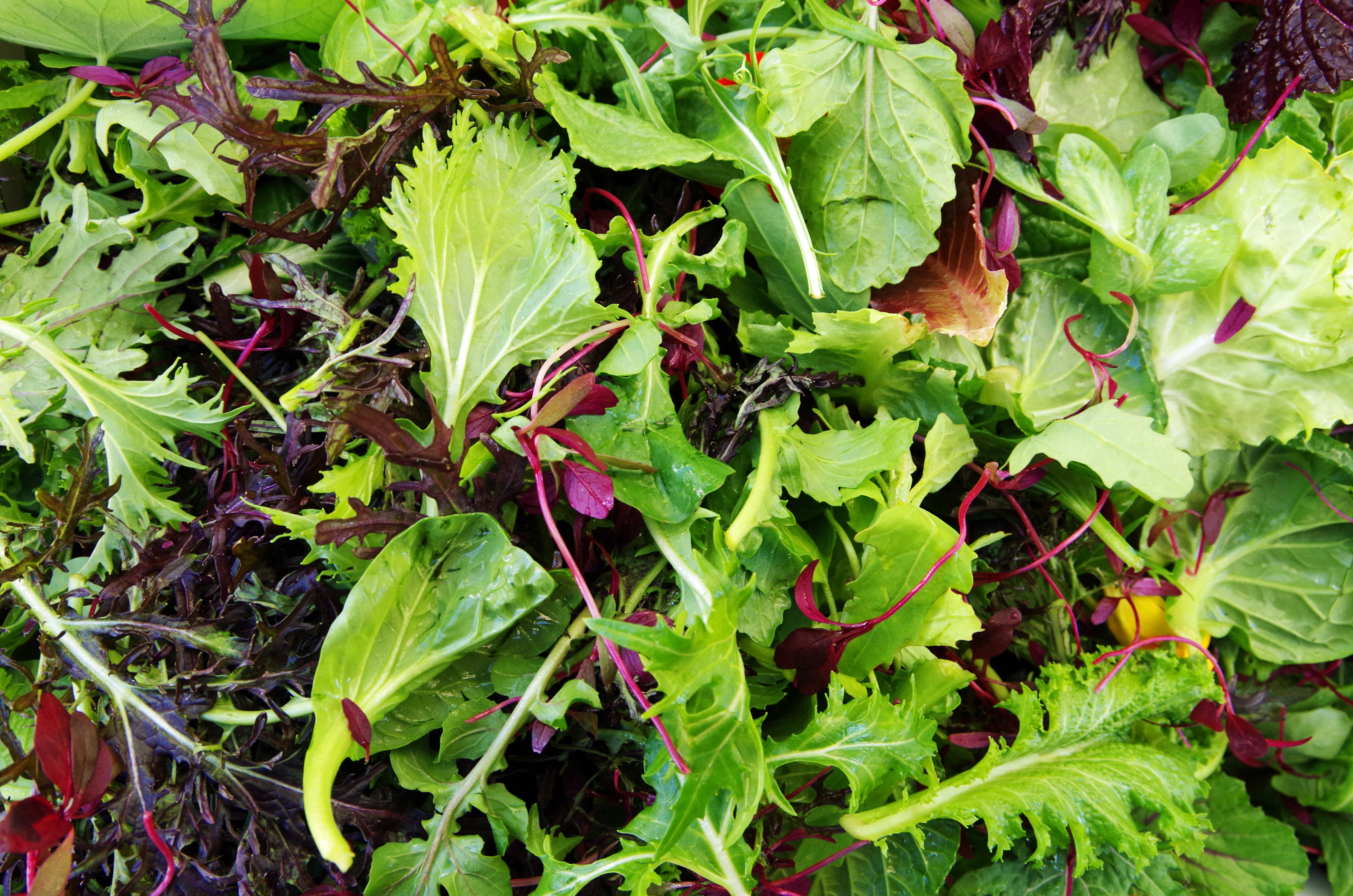 Salad