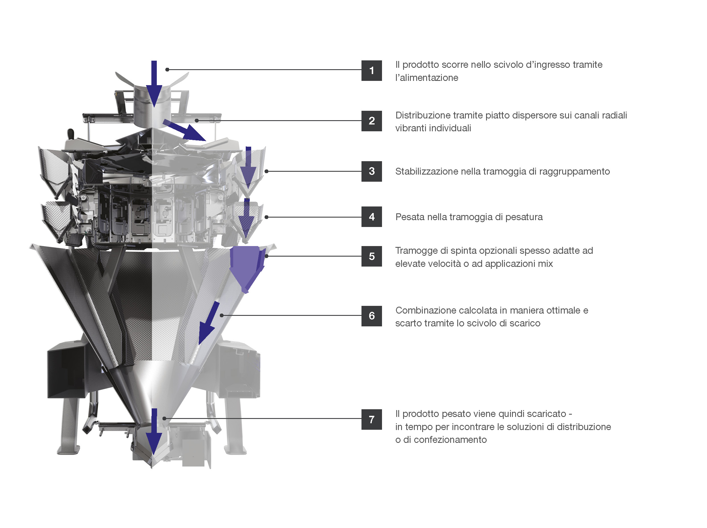 CCW DIAGRAM ITALIAN