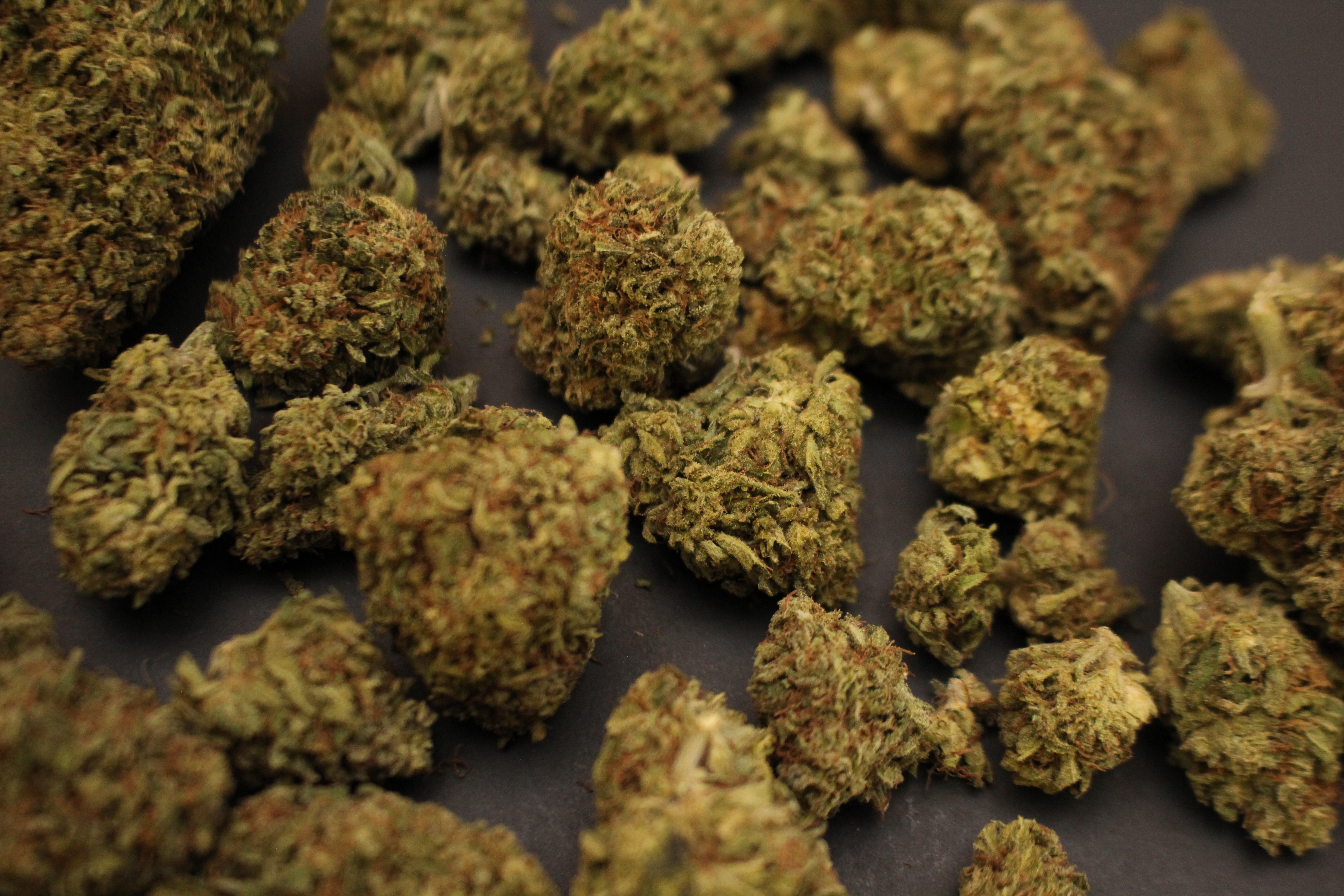 Cannabis