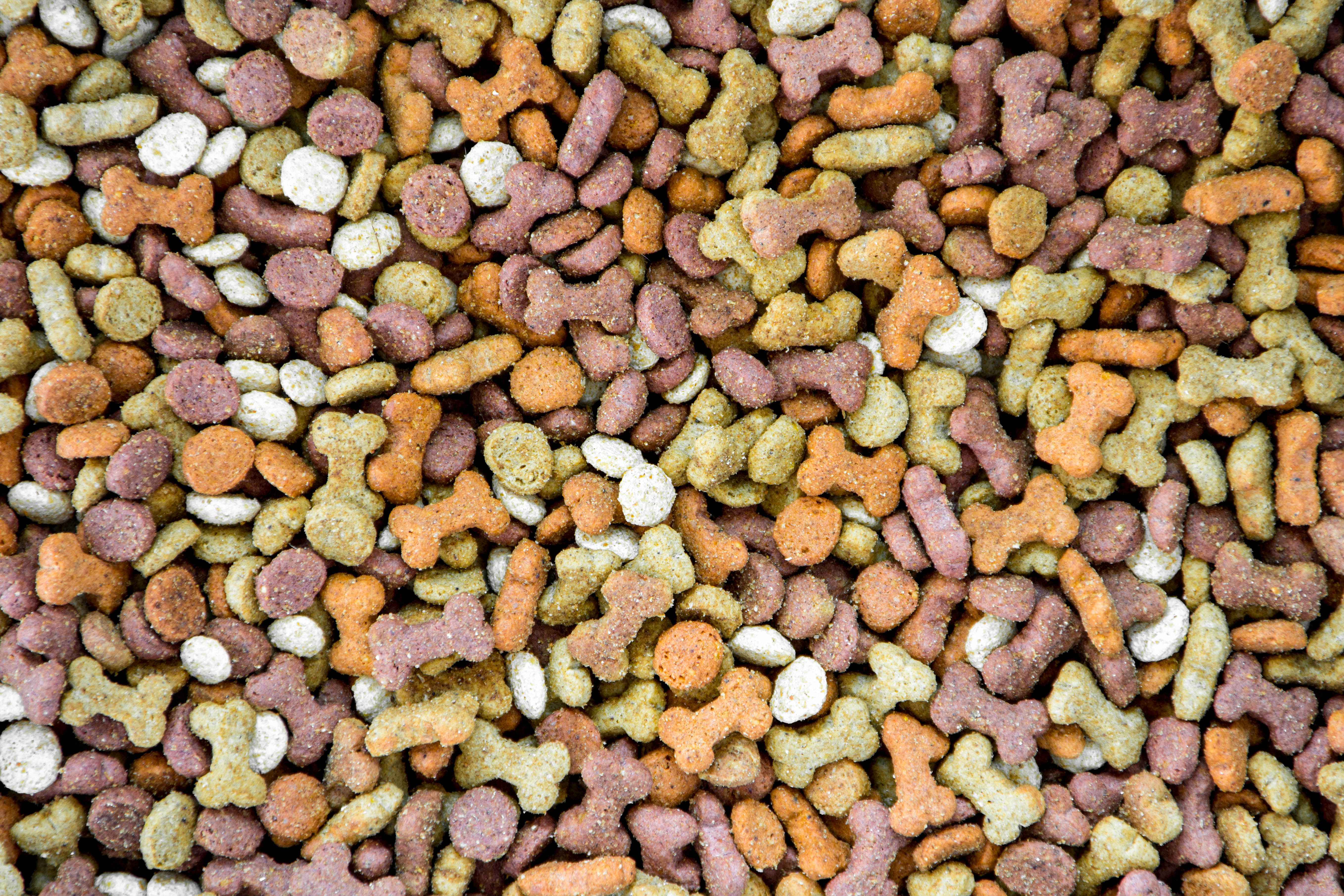 Pet Food packaging and weighing machines