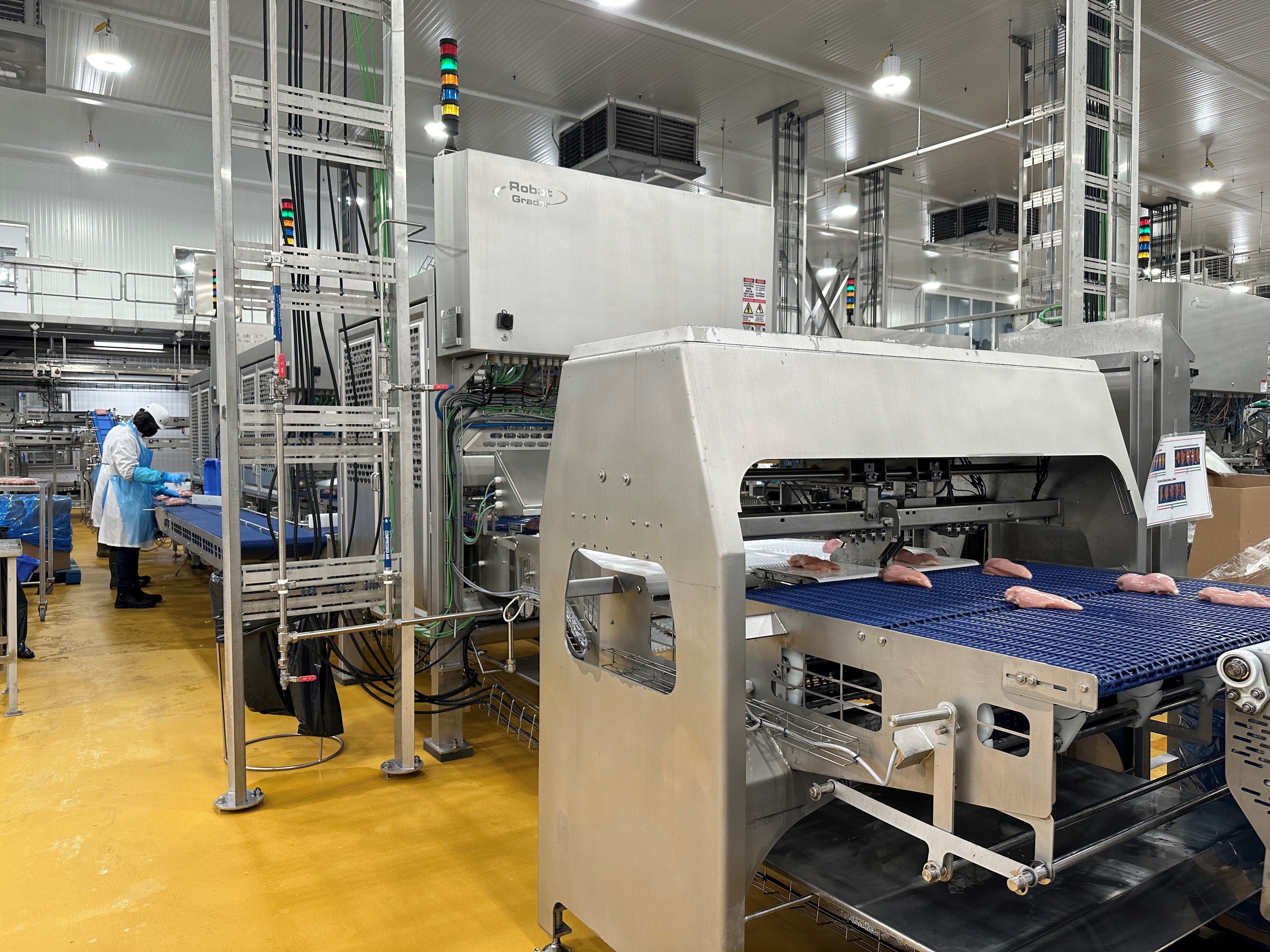 Maple Leaf London (Canada) Robot Grader View 1