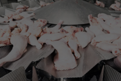 AVI LP Poultry