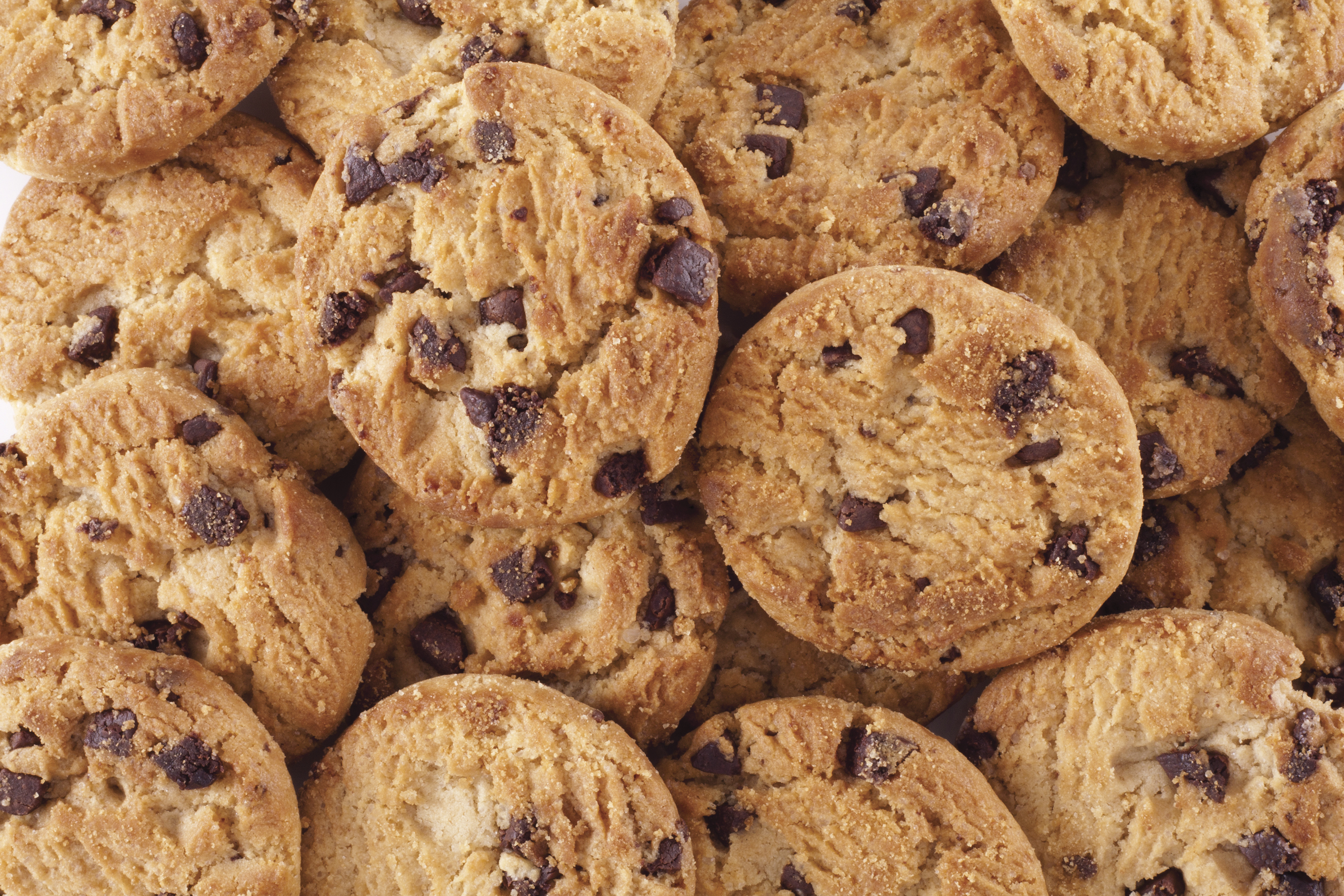 Biscuits main image