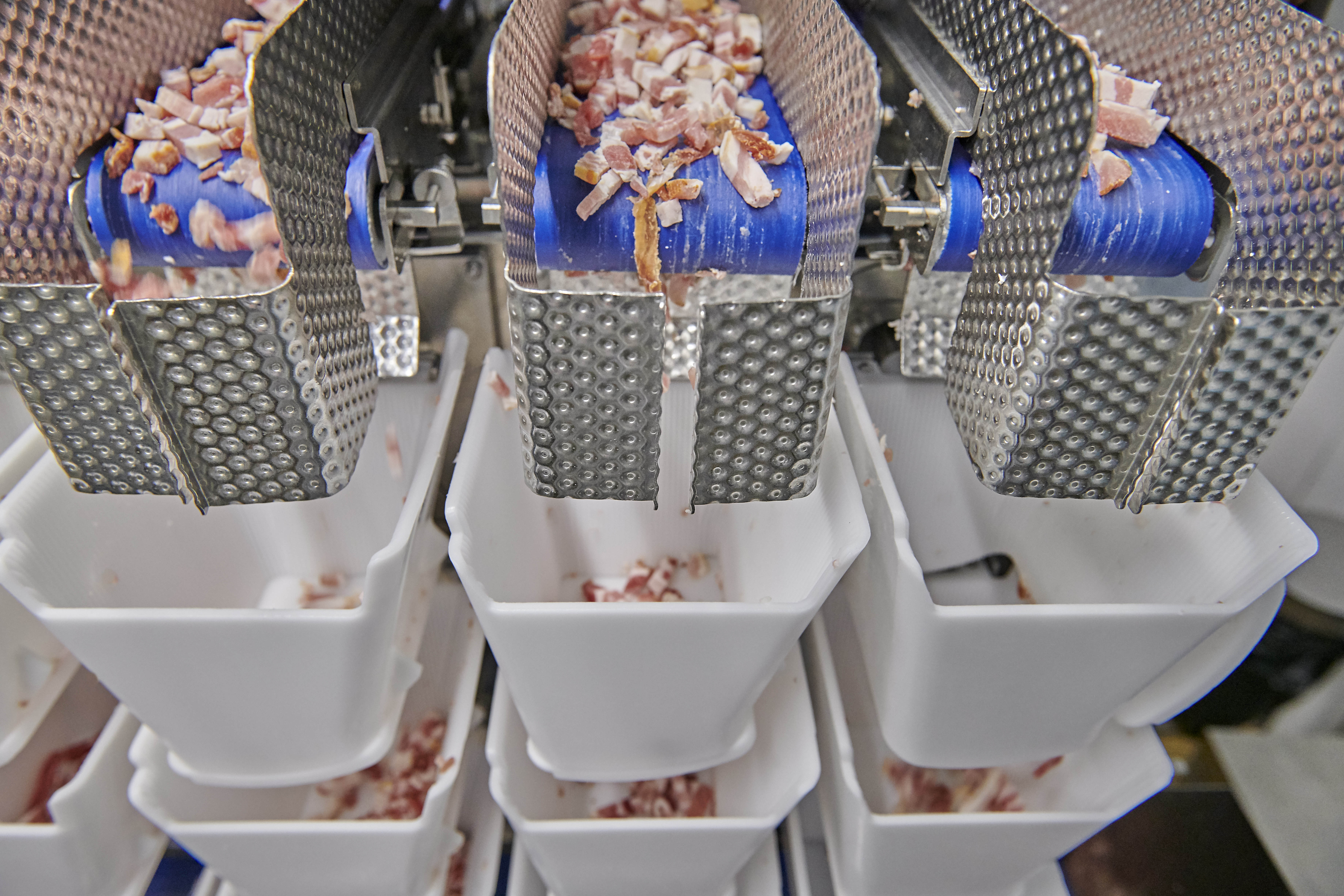 SBV Lardons Fall Into Hoppers (Remove Skin On Middle Blue Belt) (PR Shot)