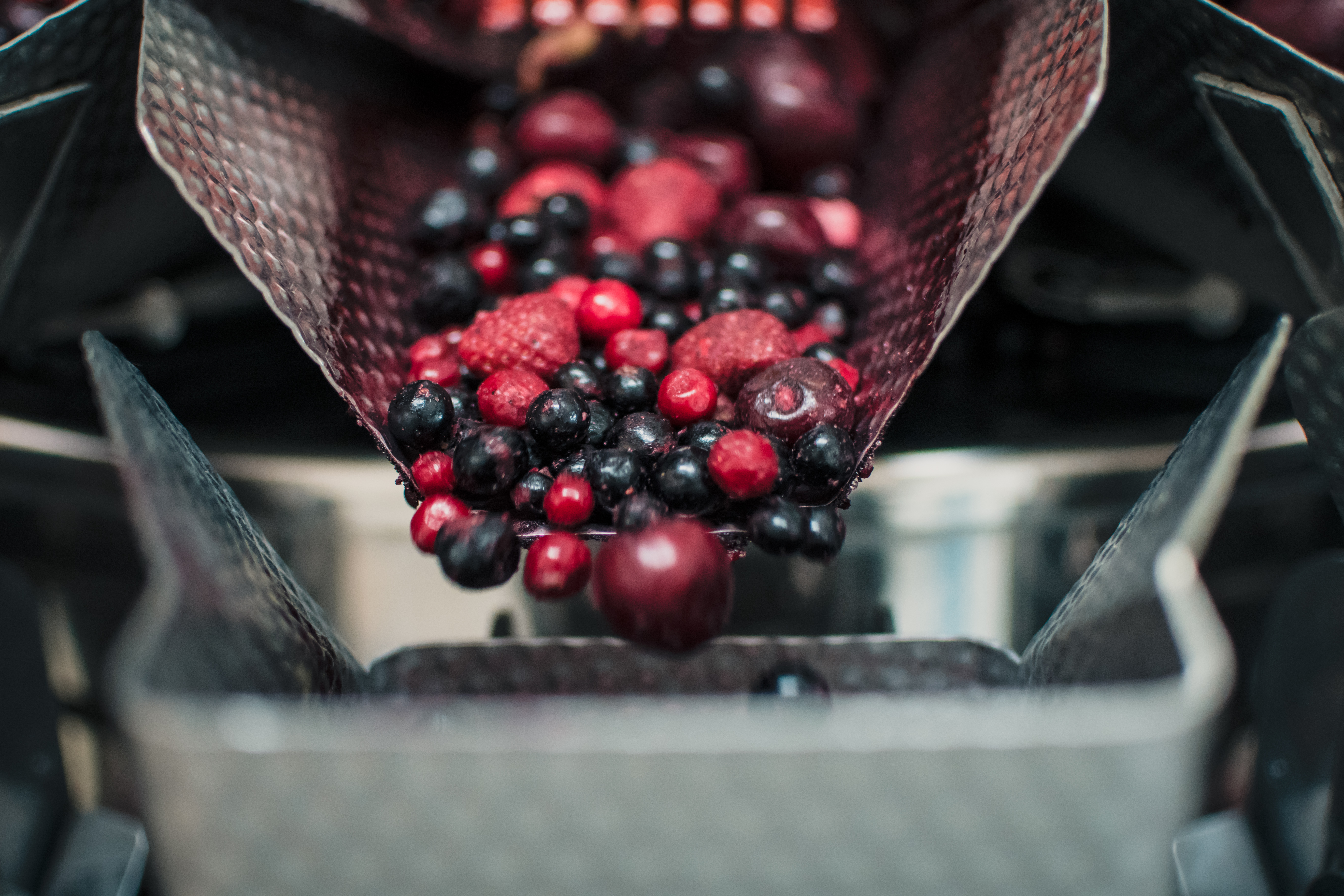 Agram CCW With Frozen Fruits Mix Radial Feeder PR Shot